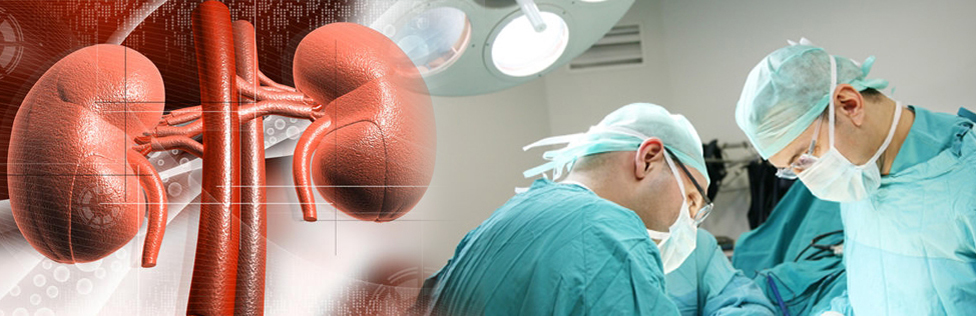 Урология в Эстемед